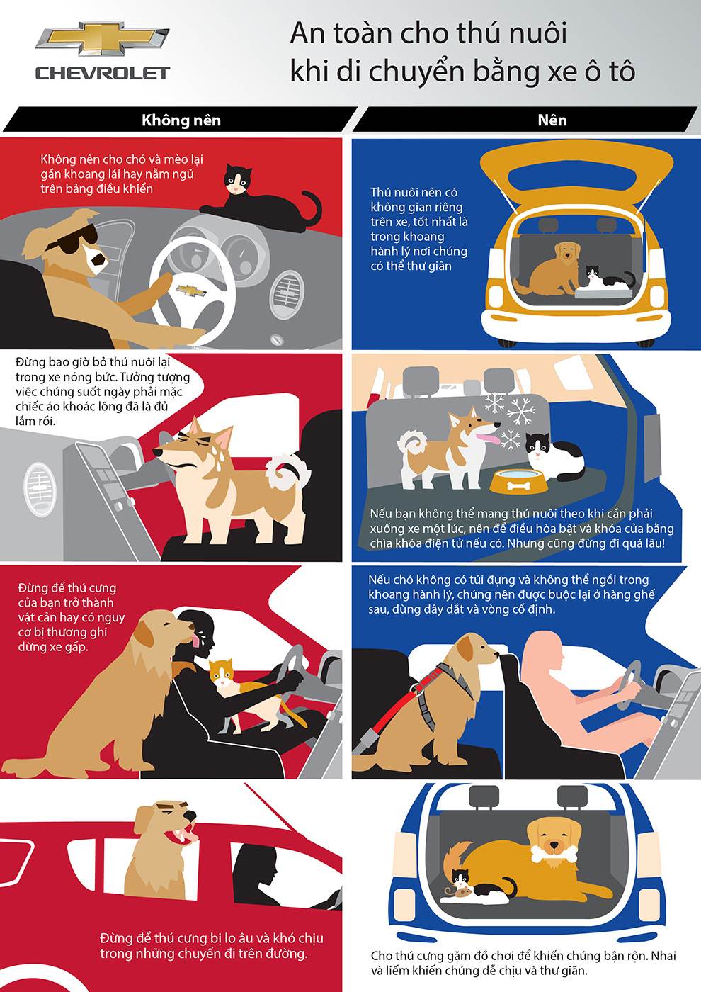 Lời khuyên khi chở vật nuôi trên xe